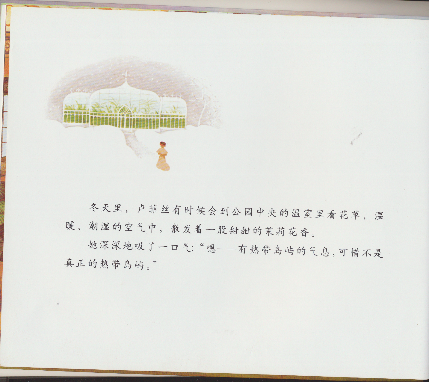 花婆婆 (44),绘本,绘本故事,绘本阅读,故事书,童书,图画书,课外阅读